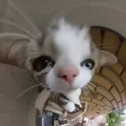 Дианка 14 лет