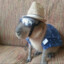 Xaolim Matador de Porco