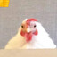 ✪ pollo