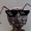 Ядерный муравей