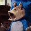 sonic no fuckin hedghog