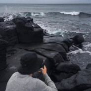 只是短暂的相逢