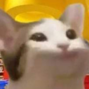 1337 - steam id 76561197961179939