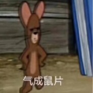 老鼠片片