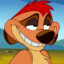 TIMON