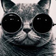 只想安静的被骂