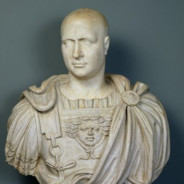 Dripio Africanus