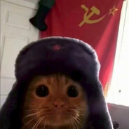 共产主义小猫