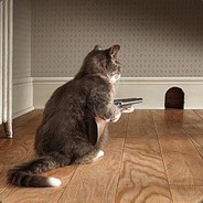 中国人不开挂不会玩游