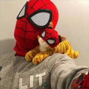 饿了吃郭德纲儿