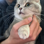 您就说咋样吧‘