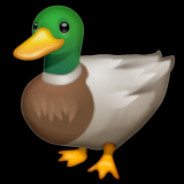 Quack