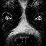 Cujo’s Steam avatar