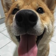 貌美如花李凤菊