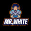 Mr.White_YT