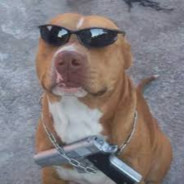 Puppim