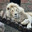 ENVER_773