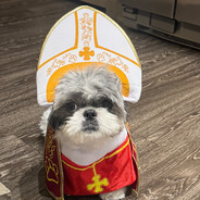 Pope Leo