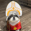 Pope Leo