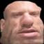 Knut