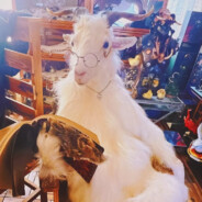 西伯利亚泰坦巨龙