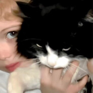 我想再睡五分钟YK