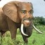 Kanyelephant