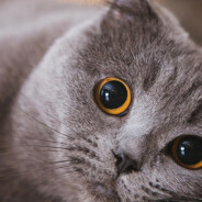 跳出三贷外不在五险中