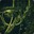 cr4ck