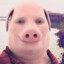 John Pork