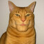 ChertkemOmaro