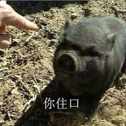 黑皮猪の饲养员