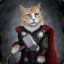 CAT_THOR