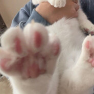 神仙飘（键盘版卡卡）