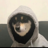 梅老板的小跟班