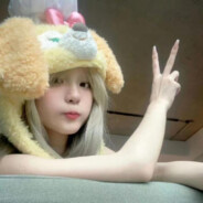 TransparentUmbellule