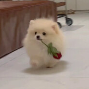 有人！很残！奈斯！救救！