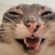 BUMBSI avatar