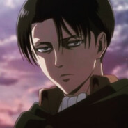 Levi