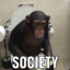 Monke with internet access