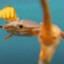 Cpt. Crab