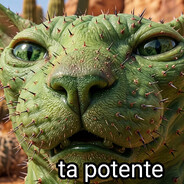 Alien X videos