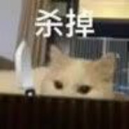 我要成为命运方舟高手