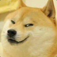 doge！doge！