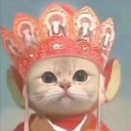 🦝枭 枭 君 君🦝