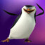 Skipper