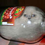 Кот_Выпил_Весь_Ко