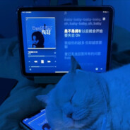 一天不导积阳徳 两天不