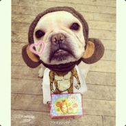 小小猫咪爱鱼丸