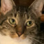 Just_Me_Ollie